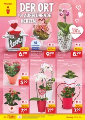 Aktueller Netto Marken-Discount Prospekt mit Pflanzen, "Aktuelle Angebote", Seite 30