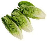 Aktuelles Romana Salatherzen Angebot bei REWE in Dresden ab 1,39 €