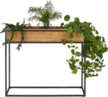 Blumenständer von LANDSCAPE im aktuellen XXXLutz Prospekt für 59,90 €