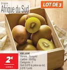 Kiwi Jaune en promo à 2,00 € chez Netto Kiwi Jaune dans le catalogue Netto