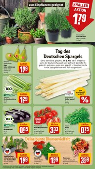 Balkonpflanzen im REWE Prospekt "Dein Markt" mit 16 Seiten (Bielefeld)