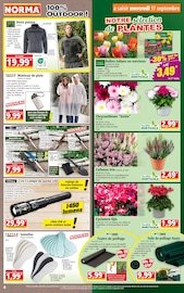 Poisson Angebote im Prospekt "Votre Discounter Régional" von Norma Poisson Angebote im Prospekt "Votre Discounter Régional" von Norma auf Seite 4