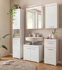Waschbeckenunterschrank im aktuellen Segmüller Prospekt für 46,99 €