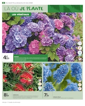 Hortensia Angebote im Prospekt "JARDIN LÀ OÙ LA VIE SE CULTIVE" von Carrefour Market Hortensia Angebote im Prospekt "JARDIN LÀ OÙ LA VIE SE CULTIVE" von Carrefour Market auf Seite 6