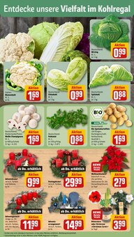 Pflanzen im REWE Prospekt "Dein Markt" mit 28 Seiten (Halle (Saale))