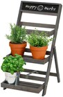 Pflanzentreppe im Penny Prospekt Pflanzentreppe von Happy Herbs im aktuellen Penny Prospekt für 15,00 €