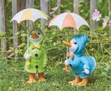 Canard sous la pluie dans le catalogue Super U