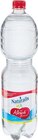 Wasser mit Geschmack im Angebot bei Netto Marken-Discount in Heinsberg Wasser mit Geschmack Angebote von Naturalis bei Netto Marken-Discount Heinsberg für 0,49 €