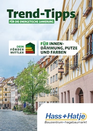 Aktueller Hass + Hatje GmbH Prospekt, "Trend-Tipps FÜR DIE ENERGETISCHE SANIERUNG", mit Angeboten der Woche, gültig von 01.11.2024 bis 01.11.2024