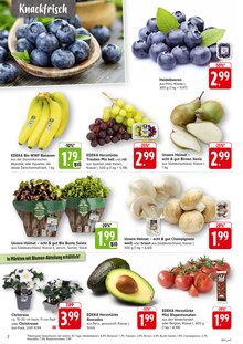EDEKA Prospekt Sternenfels "Aktuelle Angebote" mit 8 Seiten