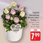 Herzstücke Rosen zweifarbig bei E center im Prospekt "" für 7,99 €