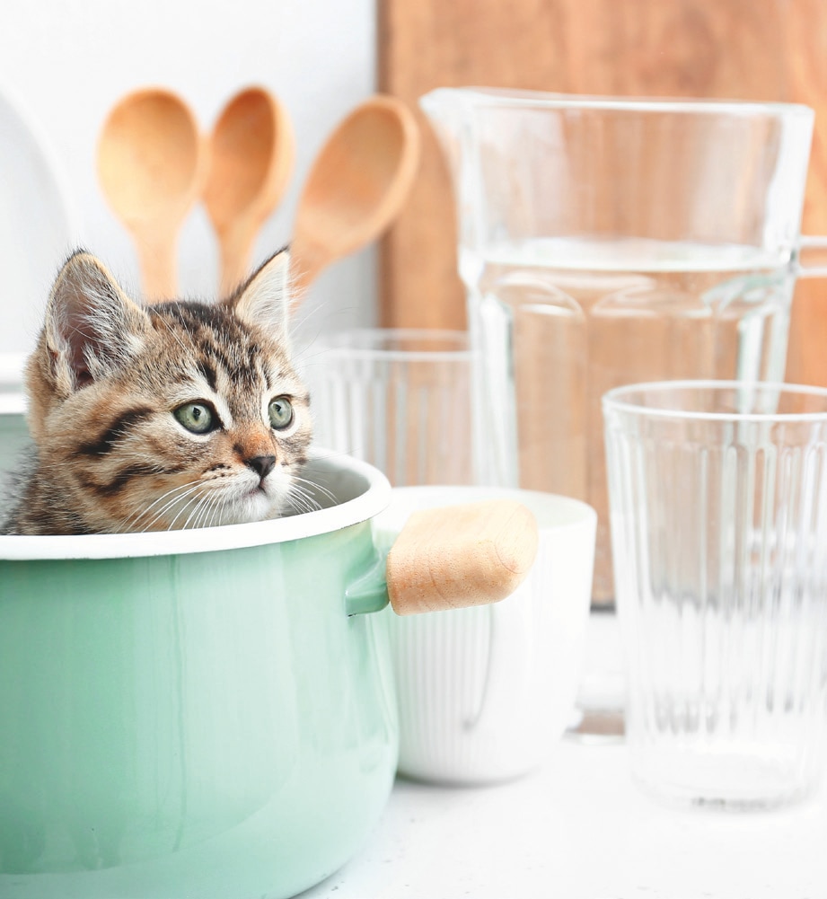 WHISKAS Temptations