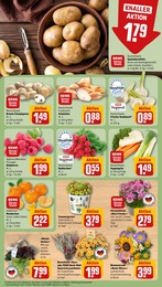 Knoblauch im REWE Prospekt Knoblauch im REWE Prospekt "Dein Markt" auf Seite 7