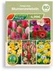 Aktuelle Blumen Angebote bei Netto Marken-Discount in Ulm Aktuelles Blumenzwiebeln Angebot bei Netto Marken-Discount in Ulm ab 0,99 €
