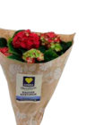 Bauernhortensie, 14 cm Topf Angebote von EDEKA bei EDEKA Hamburg für 6,99 €