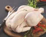 Super U Saint-Père-en-Retz - Promo Poulet Fermier Label Rouge Prêt à Cuire Promo Poulet Fermier Label Rouge Prêt à Cuire à 6,59 € dans le catalogue Super U à Saint-Père-en-Retz