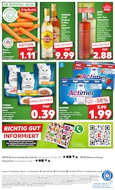 Aktueller Kaufland Prospekt mit Katzenfutter, "KNÜLLER", Seite 61