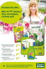 Pflanzen Kölle Prospekt "Ich mach’s mir schön ", 1 Seiten, für Weinstadt, 09.01.2020 - 31.01.2020 Pflanzen Kölle Prospekt "Ich mach’s mir schön ", 1 Seiten, für Weinstadt, 09.01.2020 - 31.01.2020