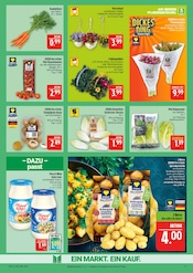 Stiefmütterchen im Marktkauf Prospekt in Leipzig Aktueller Marktkauf Prospekt mit Stiefmütterchen, "AUSWAHL RIESIG, PREISE NIEDRIG", Seite 9