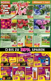 Hortensie im Norma Prospekt in Essen Aktueller Norma Prospekt mit Hortensie, "Mehr fürs Geld", Seite 10