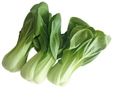 Pakchoi im Angebot bei REWE in Castrop-Rauxel Pakchoi Angebote von REWE Regional bei REWE Castrop-Rauxel für 1,19 €
