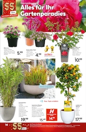 Sträucher Angebot im aktuellen Hellweg Prospekt auf Seite 18