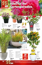 Aktueller Hellweg Prospekt mit Pflanzen, "Entspannt sparen", Seite 18