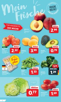 Äpfel im aktuellen Markant Nordwest Prospekt (Bielefeld) Äpfel im Markant Nordwest Prospekt "DER MARKT FÜR GUTES ESSEN UND TRINKEN" mit 16 Seiten (Bielefeld)