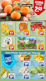 Birnen Angebot im aktuellen REWE Prospekt auf Seite 8