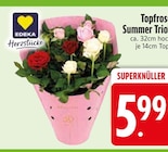 Topfrosen Summer Trio im Angebot bei EDEKA in Straubing Topfrosen Summer Trio Angebote von EDEKA Herzstücke bei EDEKA Straubing für 5,99 €
