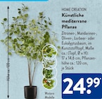 KĂŒnstliche mediterrane Pflanze im ALDI SĂD Prospekt KĂŒnstliche mediterrane Pflanze von HOME CREATION im aktuellen ALDI SĂD Prospekt fĂŒr 24,99 âŹ