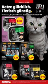 Katzenfutter im Penny Prospekt in Worms Aktueller Penny Prospekt mit Katzenfutter, "Wer günstig will, muss Penny.", Seite 20