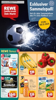 REWE Prospekt Dein Markt mit  Seiten in Nußloch und Umgebung