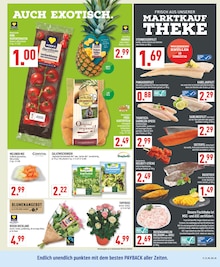 Kräuter im aktuellen Marktkauf Prospekt (Düsseldorf) Kräuter im Marktkauf Prospekt "Aktuelle Angebote" mit 32 Seiten (Düsseldorf)