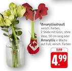 EDEKA Alsheim - Amaryllisstrauß Angebot im Prospekt Amaryllisstrauß bei EDEKA im Alsheim Prospekt für 4,99 €