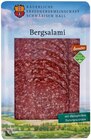 Aktuelles Bergsalami Angebot bei REWE in Reutlingen ab 2,89 €