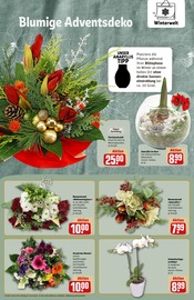 Aktueller REWE Prospekt mit Orchidee, "Dein Markt", Seite 14