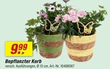 Bepflanzter Korb Angebote bei toom Baumarkt Oberhausen für 9,99 €