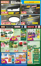 Catalogue Norma en cours à Strasbourg, "Votre Discounter Régional", Page 4