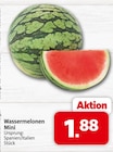 Wassermelonen Mini Angebot in Voltlage Wassermelonen Mini im aktuellen Prospekt bei nah&frisch in Voltlage