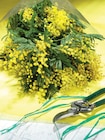 Bouquet 250 gr Mimosa Mirandole ou bouquet 20 jonquilles sans feuille. dans le catalogue Intermarché Super