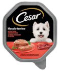 Hundenahrung Angebote von Cesar bei REWE Erftstadt für 0,69 €