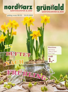 Narzissen im Garten-Center Nordharz GmbH & Co. KG Prospekt "ES DUFTET NACH FRÜHLING!" mit 12 Seiten (Hannover)