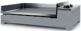 Plancha Premium 60 - Botanic Plancha Premium 60 à 679,00 € dans le catalogue Botanic
