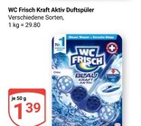 Kraft Aktiv Duftspüler im Angebot bei GLOBUS in Trier Kraft Aktiv Duftspüler Angebote von WC Frisch bei GLOBUS Trier für 1,39 €