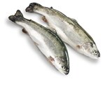 Forelle im Angebot bei METRO in Bergkamen Forelle Angebote bei METRO Bergkamen für 9,41 €