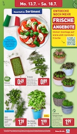 Garten im ALDI Nord Prospekt in Altenburg Aktueller ALDI Nord Prospekt mit Garten, "Aktuelle Angebote", Seite 3