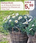 Rattan-Korb Angebote bei Garten-Center Nordharz GmbH & Co. KG Salzgitter für 5,99 €