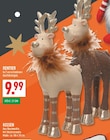 Rentier Angebote bei Marktkauf Witten für 9,99 €