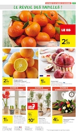 Offre Plantes dans le catalogue Carrefour Market du moment à la page 19